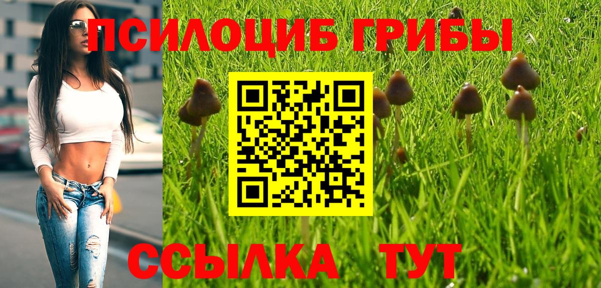 Псилоцибиновые грибы Magic Shrooms Гусь-Хрустальный