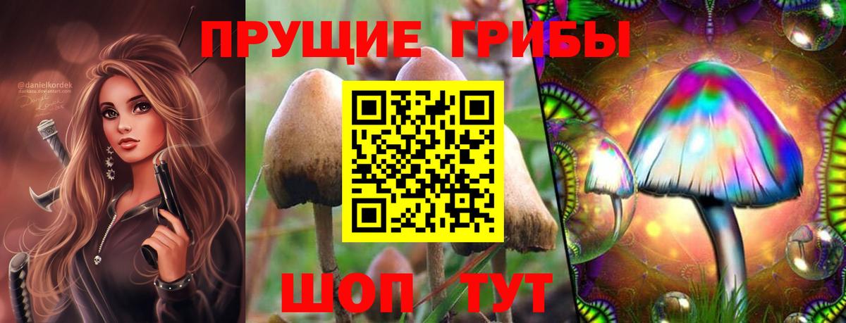 Псилоцибиновые грибы Psilocybine cubensis  Вход с VPN  Гусь-Хрустальный  Галлюциногенные грибы ЛСД 